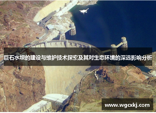 巨石水坝的建设与维护技术探索及其对生态环境的深远影响分析
